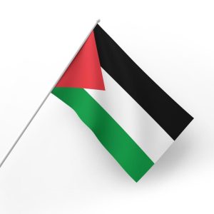 پرچم دستی فلسطین | بسته 50عددی