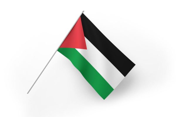 پرچم دستی فلسطین | بسته 50عددی