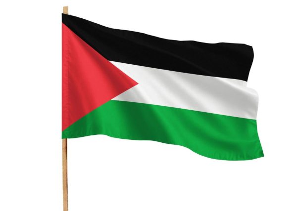 پرچم فلسطین | بسته 50 عددی